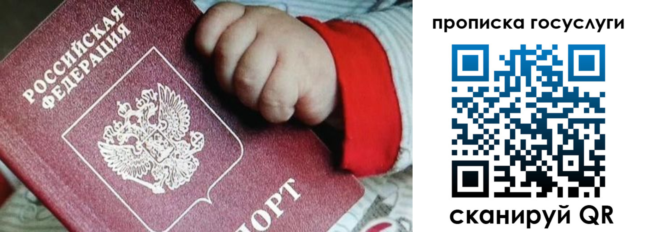 прописка штамп в Гусеве